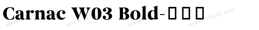Carnac W03 Bold字体转换